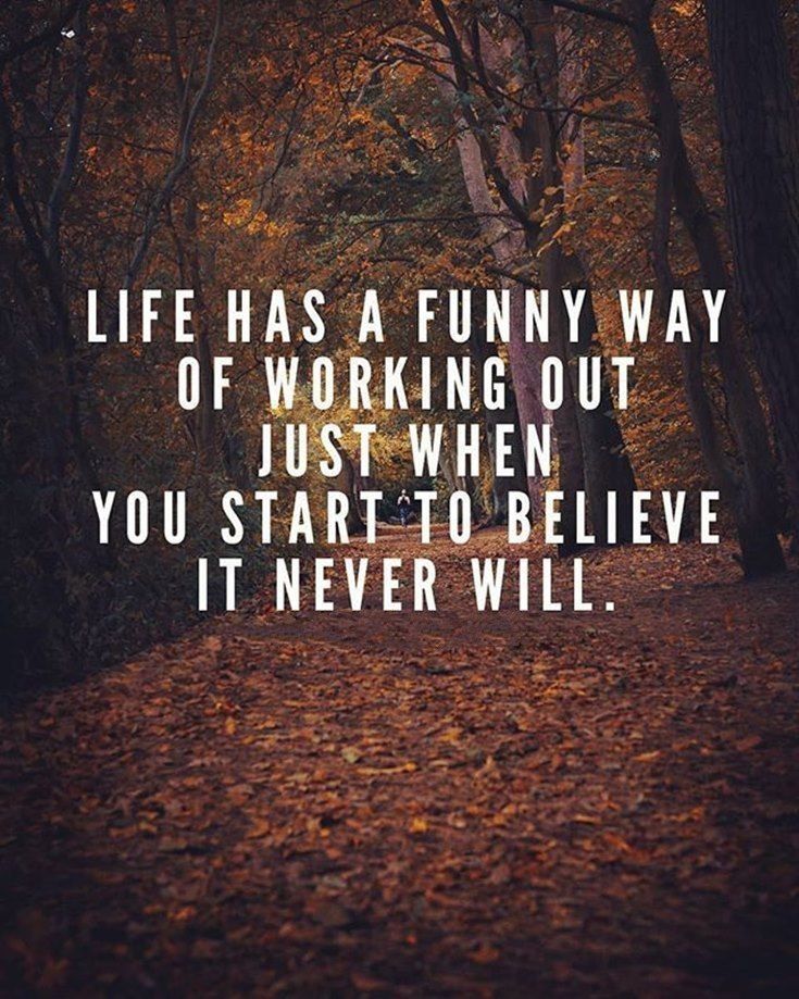 funny motivational quotes