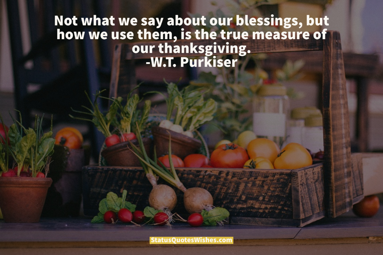 funny thanksgiving quotes for a smile