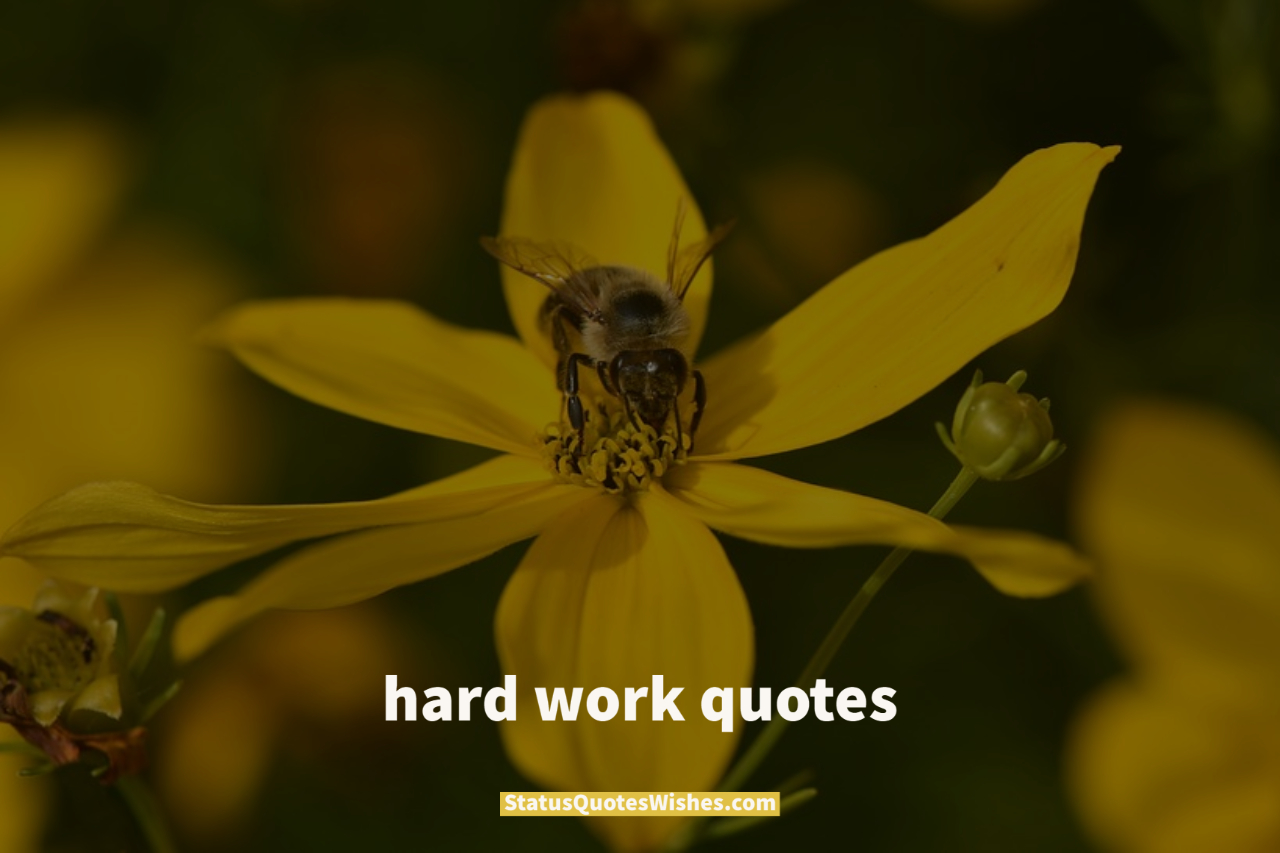 hard work quotes wallpaper